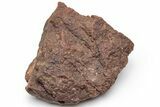 Chondrite Meteorite ( g) - Western Sahara Desert #226933-1